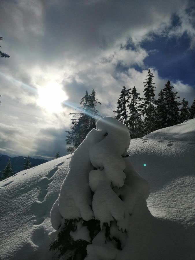 Hotel Garni Alpendiamant Fiss Exteriér fotografie